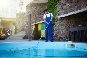 pool cleaner